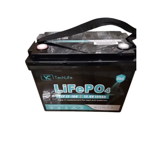 Акумулятор LiFePO4 EverExceed YCTechLife LFP 12-100 (12.8V100AH) BMS 100A